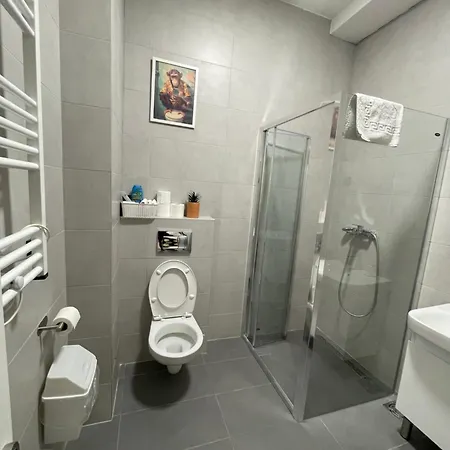 Joy Vracar 3 Bedrooms 2 Bathrooms Lägenhet Belgrad