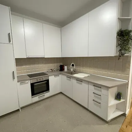 Joy Vracar 3 Bedrooms 2 Bathrooms Appartement Belgrade