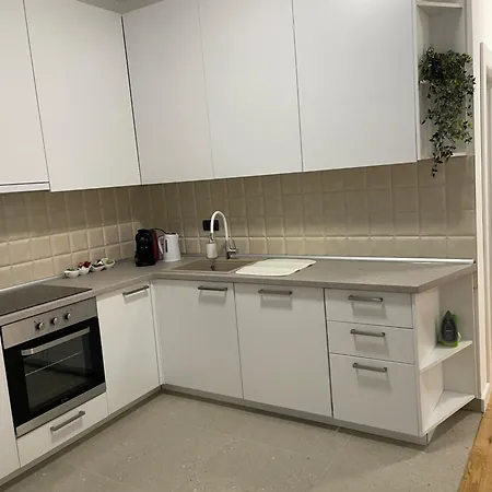 Joy Vracar 3 Bedrooms 2 Bathrooms Lägenhet Belgrad